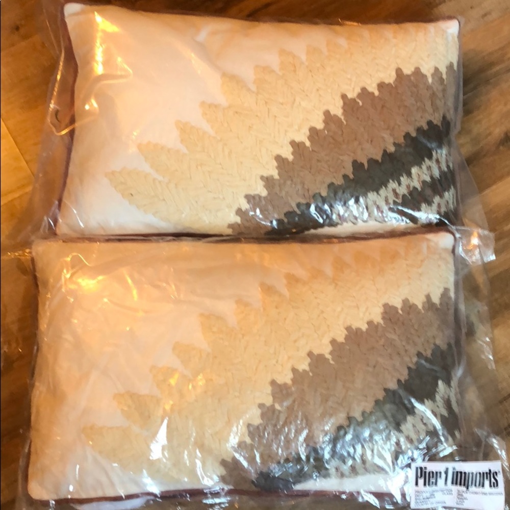 🔥🔥 SALE ! NWT. 2 pier 1 Imports  pillows